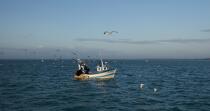 pêche devant Cancale. © Philip Plisson / Plisson La Trinité / AA22357 - Nos reportages photos - Ille & Vilaine