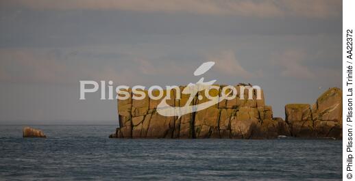 La pointe du Grouin. - © Philip Plisson / Plisson La Trinité / AA22372 - Nos reportages photos - Pointe du Grouin [La]