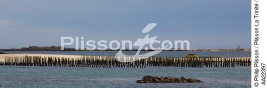 Chausey. - © Philip Plisson / Plisson La Trinité / AA22397 - Photo Galleries - Mussel breeding