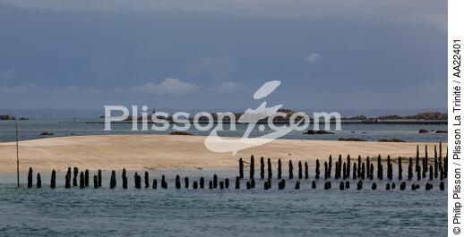Chausey. - © Philip Plisson / Plisson La Trinité / AA22401 - Photo Galleries - Mussel breeding