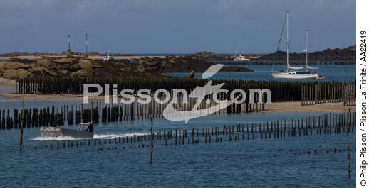 Chausey. - © Philip Plisson / Plisson La Trinité / AA22419 - Nos reportages photos - Aquaculture