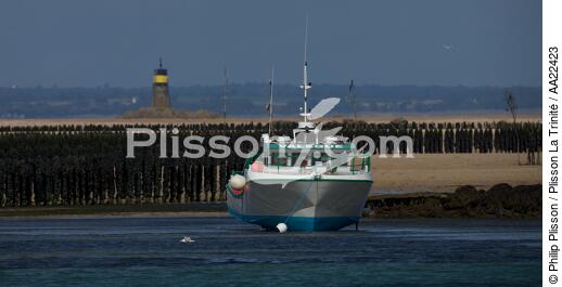 Chausey. - © Philip Plisson / Plisson La Trinité / AA22423 - Nos reportages photos - Manche [La]