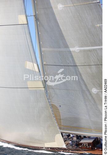 Shamrock V aux Voiles de St Tropez. - © Guillaume Plisson / Plisson La Trinité / AA22469 - Nos reportages photos - Yachting