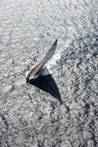 Shamrock V. © Guillaume Plisson / Plisson La Trinité / AA22477 - Photo Galleries - Classic Yachting