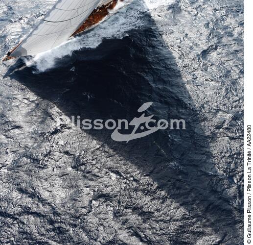 Shamrock V. - © Guillaume Plisson / Plisson La Trinité / AA22480 - Photo Galleries - Classic Yachting