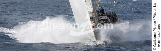 Shamrock V aux Voiles de St Tropez. - © Guillaume Plisson / Plisson La Trinité / AA22498 - Nos reportages photos - Yachting