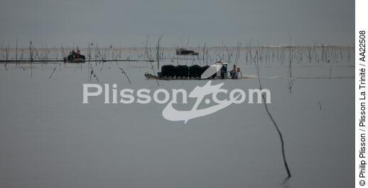 Oyster framing in front of Oleron island. - © Philip Plisson / Plisson La Trinité / AA22508 - Photo Galleries - Aquaculture