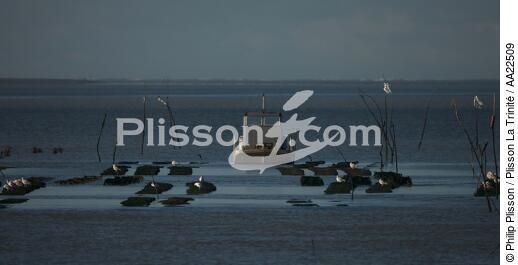 Oyster framing in front of Oleron island. - © Philip Plisson / Plisson La Trinité / AA22509 - Photo Galleries - Oléron [island of]