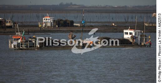Oyster framing in front of Oleron island. - © Philip Plisson / Plisson La Trinité / AA22513 - Photo Galleries - Aquaculture