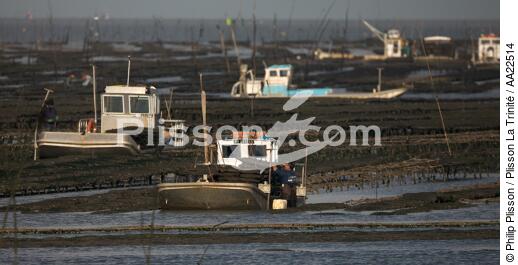 Oyster framing in front of Oleron island. - © Philip Plisson / Plisson La Trinité / AA22514 - Photo Galleries - Oyster farmer