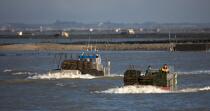 Oyster framing in front of Oleron island. © Philip Plisson / Plisson La Trinité / AA22515 - Photo Galleries - Aquaculture