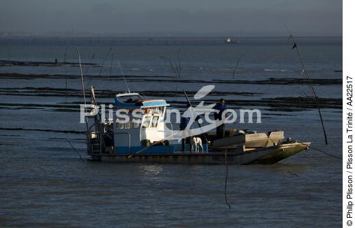 Oyster framing in front of Oleron island. - © Philip Plisson / Plisson La Trinité / AA22517 - Photo Galleries - Aquaculture