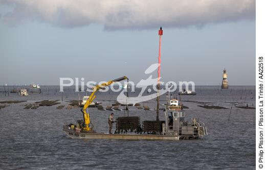 Oyster framing in front of Oleron island. - © Philip Plisson / Plisson La Trinité / AA22518 - Photo Galleries - Aquaculture