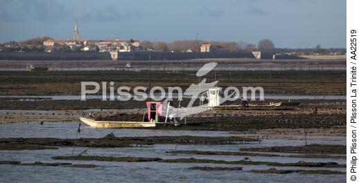 Oyster framing in front of Oleron island. - © Philip Plisson / Plisson La Trinité / AA22519 - Photo Galleries - Oyster Farming
