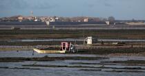 Oyster framing in front of Oleron island. © Philip Plisson / Plisson La Trinité / AA22519 - Photo Galleries - Aquaculture