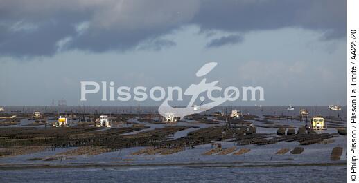Oyster framing in front of Oleron island. - © Philip Plisson / Plisson La Trinité / AA22520 - Photo Galleries - Aquaculture