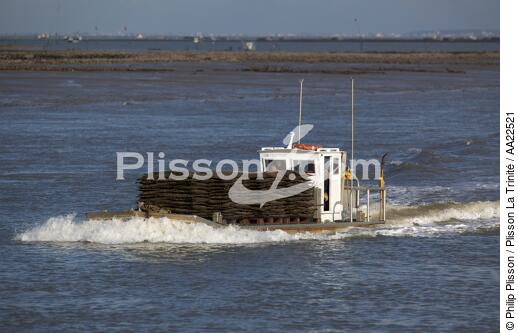 Oyster framing in front of Oleron island. - © Philip Plisson / Plisson La Trinité / AA22521 - Photo Galleries - Oyster Farming