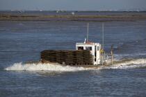 Oyster framing in front of Oleron island. © Philip Plisson / Plisson La Trinité / AA22521 - Photo Galleries - Oyster Farming
