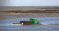 Oyster framing in front of Oleron island. © Philip Plisson / Plisson La Trinité / AA22522 - Photo Galleries - Oyster Farming