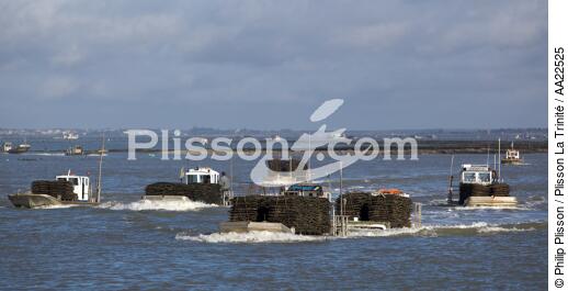 Oyster framing in front of Oleron island. - © Philip Plisson / Plisson La Trinité / AA22525 - Photo Galleries - Oyster Farming
