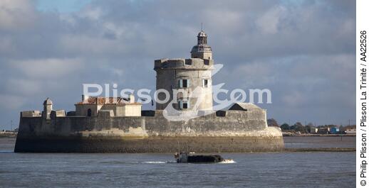 Fort Louvois. - © Philip Plisson / Plisson La Trinité / AA22526 - Nos reportages photos - Fort