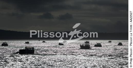 Oyster boat in front of Oleron island. - © Philip Plisson / Plisson La Trinité / AA22527 - Photo Galleries - Oyster Farming