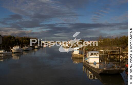 Oyster boat on Seudre river. - © Philip Plisson / Plisson La Trinité / AA22528 - Photo Galleries - Oyster Farming
