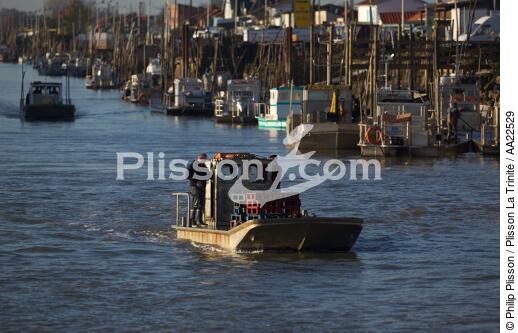 Oyster boat on Seudre river. - © Philip Plisson / Plisson La Trinité / AA22529 - Photo Galleries - Lighter used by oyster farmers