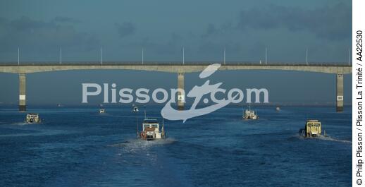 Oyster boat on Seudre river. - © Philip Plisson / Plisson La Trinité / AA22530 - Photo Galleries - River [17]