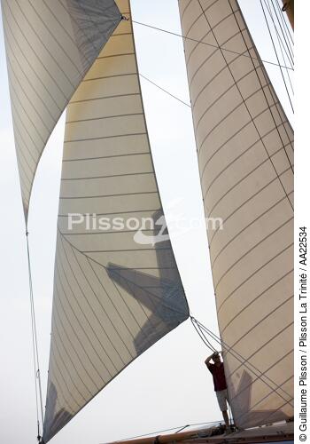 The centenary of Tuiga. - © Guillaume Plisson / Plisson La Trinité / AA22534 - Photo Galleries - Classic Yachting