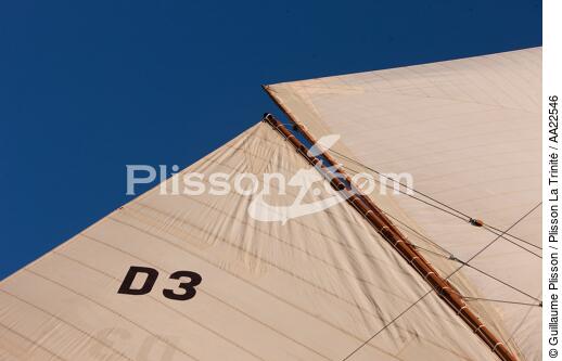 The centenary of Tuiga. - © Guillaume Plisson / Plisson La Trinité / AA22546 - Photo Galleries - Classic Yachting