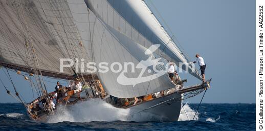 The centenary of Tuiga. - © Guillaume Plisson / Plisson La Trinité / AA22552 - Photo Galleries - Classic Yachting