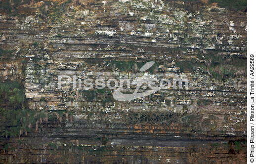 Cliffs at Pointe du Hoc. - © Philip Plisson / Plisson La Trinité / AA22589 - Photo Galleries - Site of Interest [14]