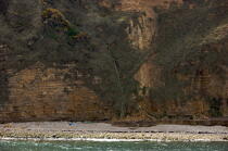Cliffs at Pointe du Hoc. © Philip Plisson / Plisson La Trinité / AA22590 - Photo Galleries - Calvados