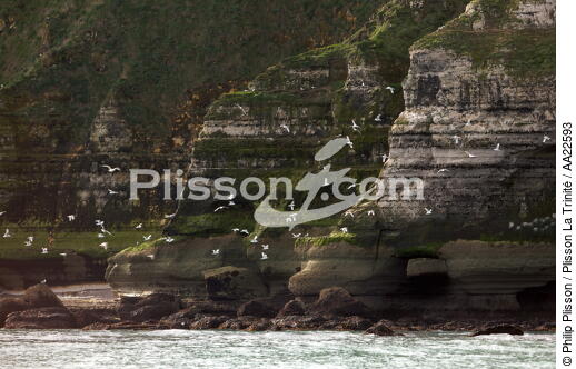 Cliffs at Pointe du Hoc. - © Philip Plisson / Plisson La Trinité / AA22593 - Photo Galleries - Calvados