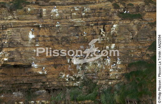Cliffs at Pointe du Hoc. - © Philip Plisson / Plisson La Trinité / AA22594 - Photo Galleries - Pointe du Hoc