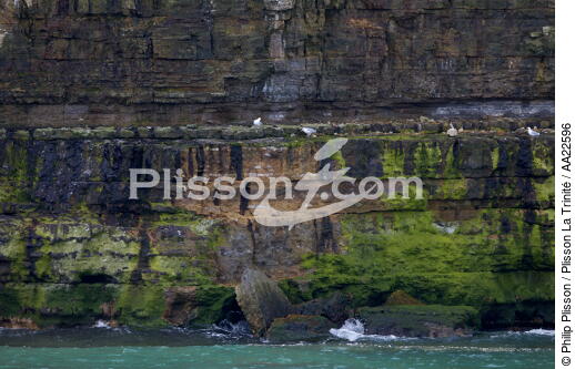 Cliffs at Pointe du Hoc. - © Philip Plisson / Plisson La Trinité / AA22596 - Photo Galleries - Site of Interest [14]