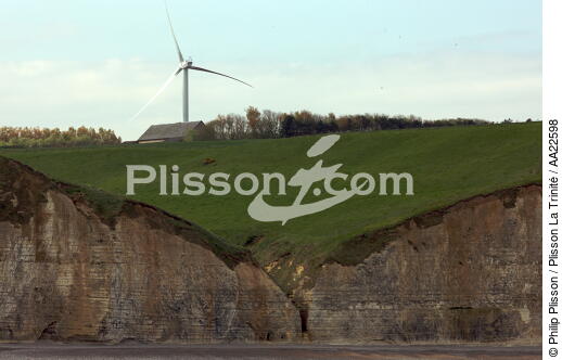 Veulettes-sur-mer - © Philip Plisson / Plisson La Trinité / AA22598 - Photo Galleries - Normandie