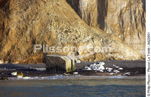 Heron coast near Dieppe. - © Philip Plisson / Plisson La Trinité / AA22601 - Photo Galleries - Normandie