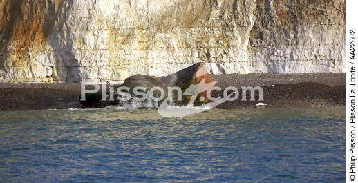 Heron coast near Dieppe. - © Philip Plisson / Plisson La Trinité / AA22602 - Photo Galleries - Cliff