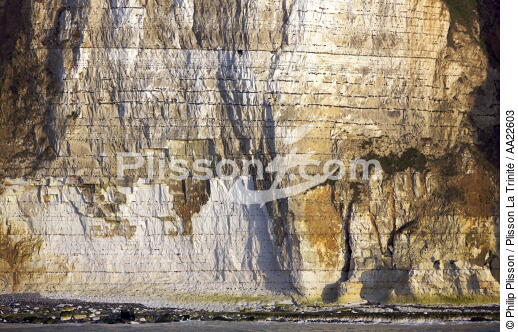 Heron coast near Dieppe. - © Philip Plisson / Plisson La Trinité / AA22603 - Photo Galleries - Normandie