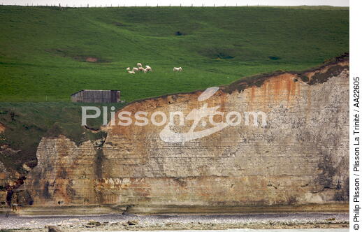 Veulettes-sur-mer - © Philip Plisson / Plisson La Trinité / AA22605 - Photo Galleries - Cliff
