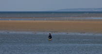 Angling in Ouistreham. © Philip Plisson / Plisson La Trinité / AA22611 - Photo Galleries - Types of fishing