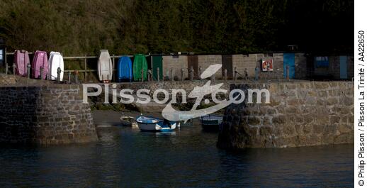 Port Racine dans la Manche. - © Philip Plisson / Plisson La Trinité / AA22650 - Nos reportages photos - Bateau à rames