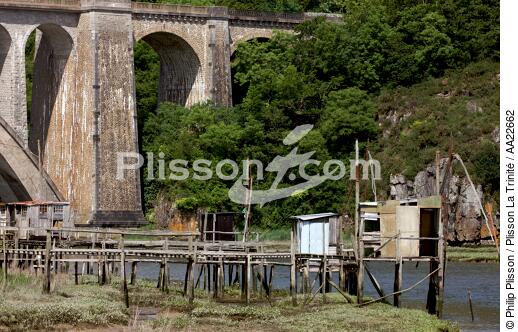 Sur les bord de Rance - © Philip Plisson / Plisson La Trinité / AA22662 - Nos reportages photos - Site [35]