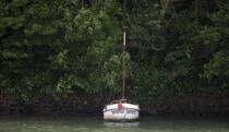 Sur les bord de Rance © Philip Plisson / Plisson La Trinité / AA22710 - Nos reportages photos - 16/9 horizontal