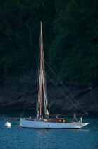 Mouillage sur la Rance. © Philip Plisson / Plisson La Trinité / AA22726 - Nos reportages photos - Yachting