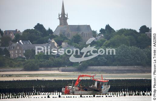 Mussel in the Bay of La Fresnaye. - © Philip Plisson / Plisson La Trinité / AA22853 - Photo Galleries - Mussel bed