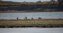 In the Bay of Paimpol. © Philip Plisson / Plisson La Trinité / AA22879 - Photo Galleries - Oyster bed