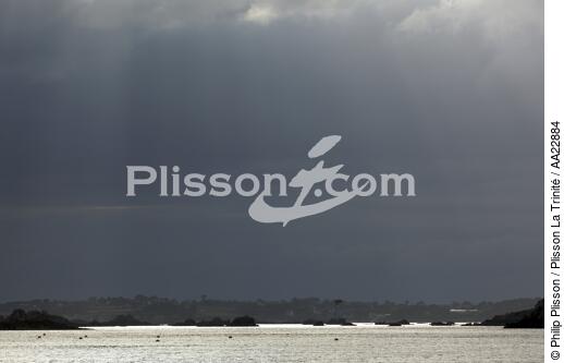 In the Bay of Paimpol. - © Philip Plisson / Plisson La Trinité / AA22884 - Photo Galleries - Grey sky